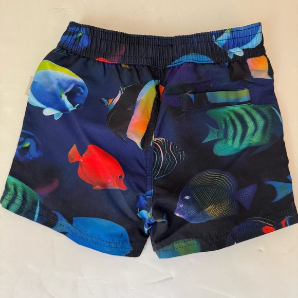 NWT PAUL SMITH Baby Swim Shorts Bathing Suit Ocean Tropical Fish Print Size 6M - Picture 5 of 12
